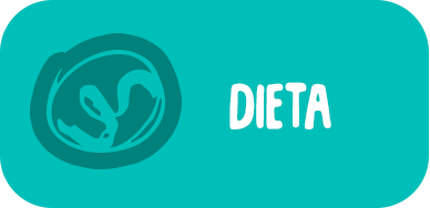 dieta